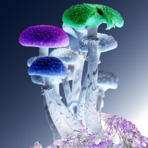 photoshop, mushrooms, psychedelic, nature, fungi, magic, fungus, hallucinogenic, recreational, therapy, trip, forest, microdosing, spiritual, psilocybe, psychotropic, blue forest, blue therapy, blue magic, psychedelic, psychedelic, psychedelic, psychedelic, psychedelic