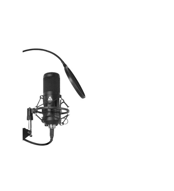 Best Microphones Under 3000 Rs: Your Complete Buying Guide for 2025 6 Best microphones under 3000