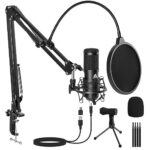 microphone under 3000 rupees